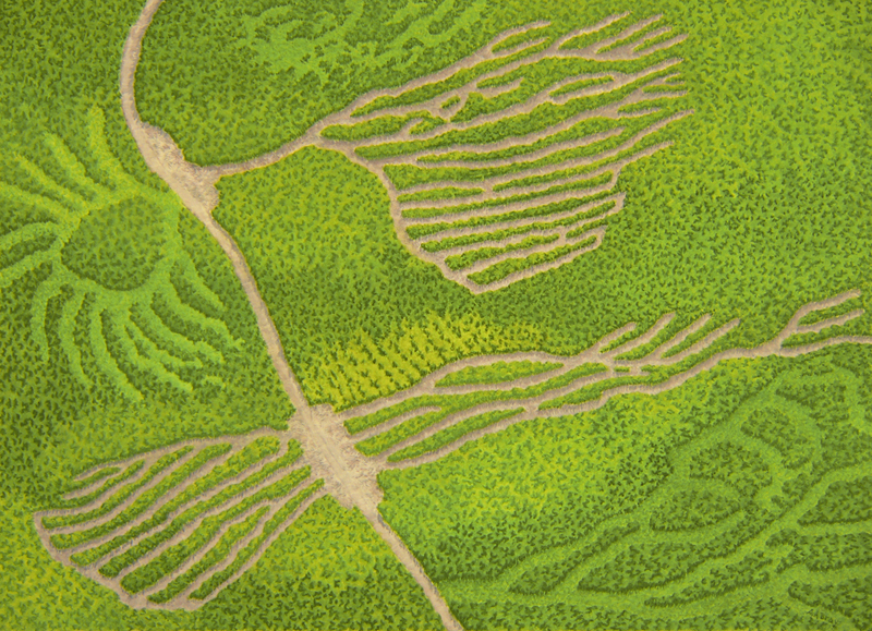 The Industrial Forest